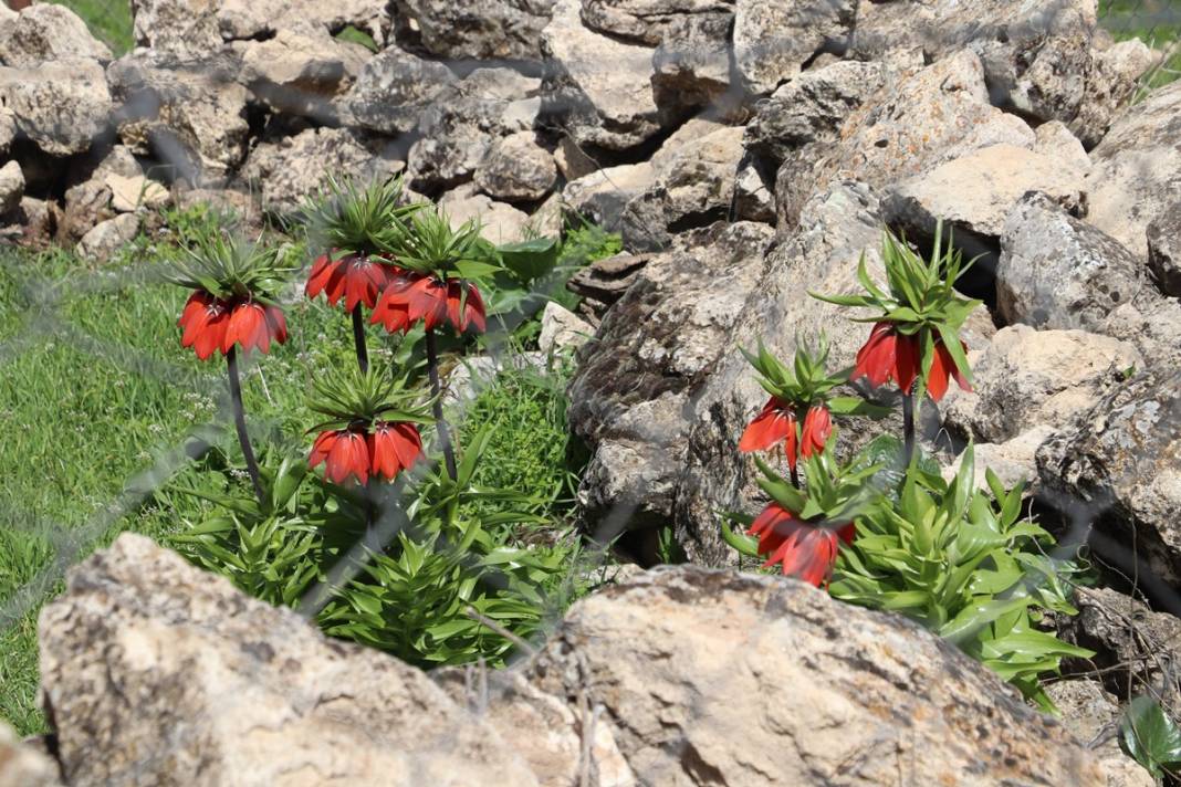 Bu insanlar neye bakıyor? Gece-gündüz nöbet tutuyorlar, ilk kez görenler şaştı kaldı! 1
